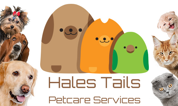 About Hales Tails